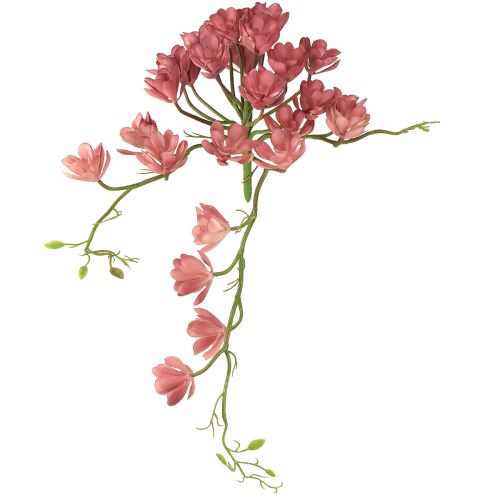 Suculenta artificial 28 rosetas Aeonium rosa viejo 43cm