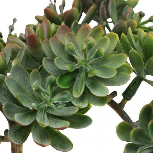 Floristik24 Suculenta artificial para pegar verde, roja 12cm