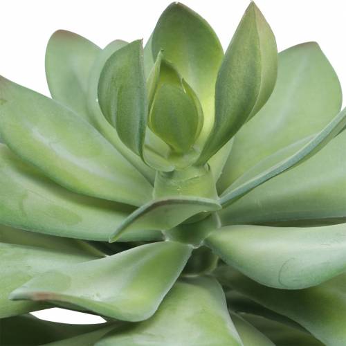 Floristik24 Planta suculenta decorativa artificial verde Ø30cm H27cm