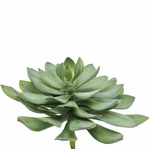 Floristik24 Planta suculenta decorativa artificial verde Ø30cm H27cm