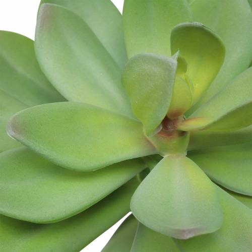 Artículo Suculenta artificial verde 27cm