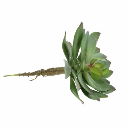Artículo Suculenta artificial verde 27cm