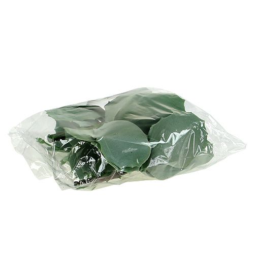 Floristik24 Stonecrop suculento L18cm 4pcs