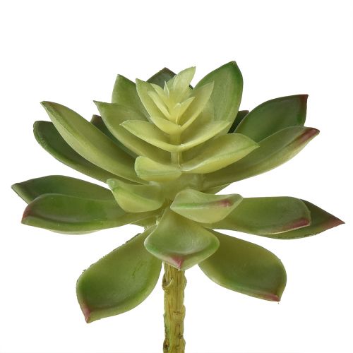 Artículo Suculentas Artificiales Plantas Artificiales Verde Ø10cm 4 uds