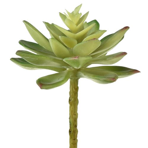 Artículo Suculentas Artificiales Plantas Artificiales Verde Ø10cm 4 uds