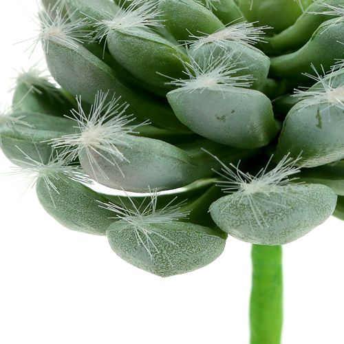 Verde suculento Ø8,5cm L13cm