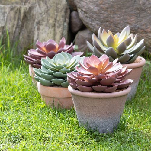 Artículo Planta suculenta en maceta Echeveria artificial rojo vintage Ø15cm H16cm