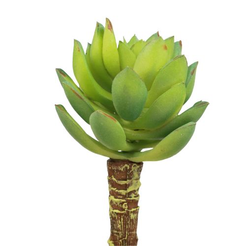 Planta Verde Artificial Echeveria Suculenta Verde Ø5,5cm 12,5cm