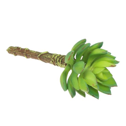 Artículo Planta Verde Artificial Echeveria Suculenta Verde Ø5,5cm 12,5cm