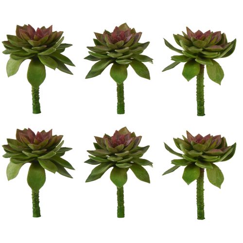 Artículo Piedra suculenta rosa 6cm verde 6 piezas