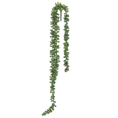 Artículo Guirnalda colgante de plantas artificiales con suculentas para decorar la sala de estar.
