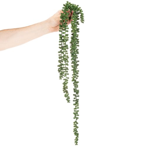 Artículo Guirnalda colgante de plantas artificiales con suculentas para decorar la sala de estar.