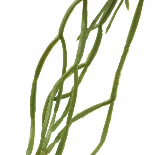 Artículo Suculenta colgante artificial verde 110cm