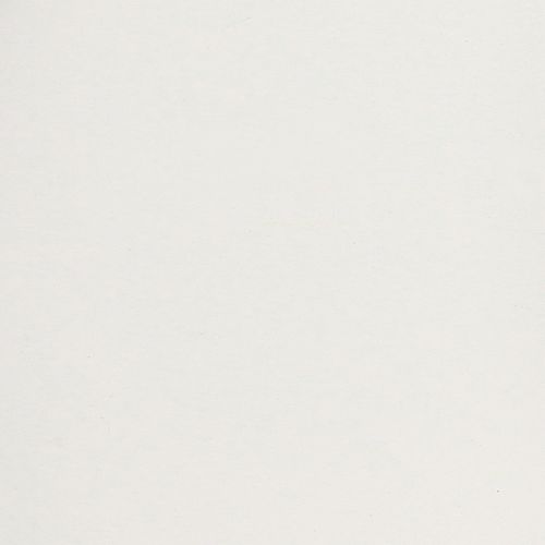 Artículo Bandeja con asas prácticas para uso versátil en el hogar y la restauración, 30 cm