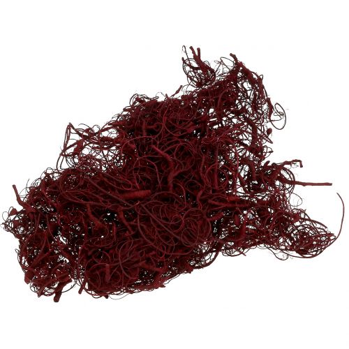 Floristik24 Fibra De Tamarindo 500g Vino Tinto