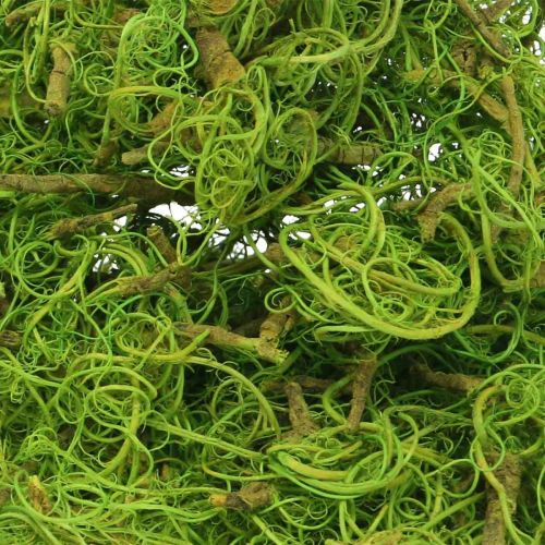 Artículo Fibra de Tamarindo Fibra Natural Verde Claro para Manualidades y Decoración 500g