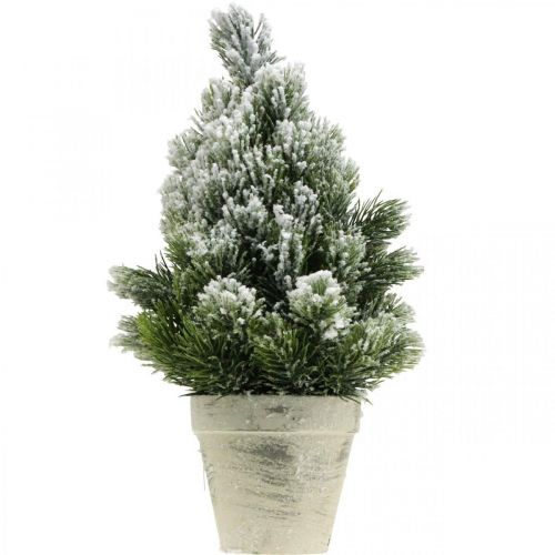 Floristik24 Mini árbol de Navidad en maceta con nieve artificial Ø18cm H32cm
