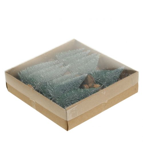 Floristik24 Abeto plateado 8cm 24uds