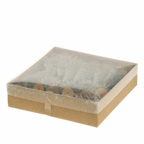 Floristik24 Arbol de Navidad decorativo champagne brillo 8cm 24uds