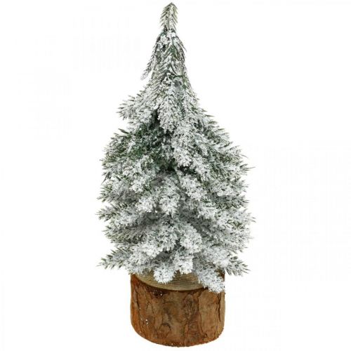 Floristik24 Árbol de Navidad decorativo, decoración de invierno, abeto con nieve Al. 19 cm