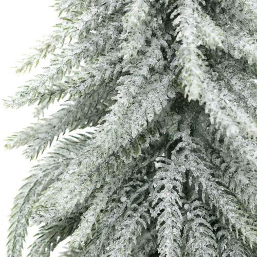 Floristik24 Abeto decorativo con nieve, decoración de adviento, abeto en maceta Al. 37 cm