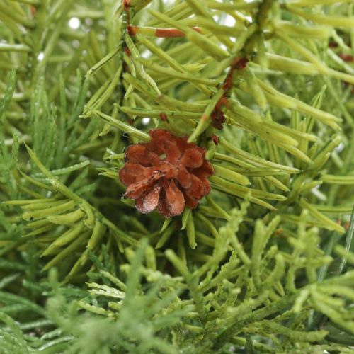 Floristik24 Ramas decorativas Ramas navideñas Ramas de abeto artificial Al. 31 cm
