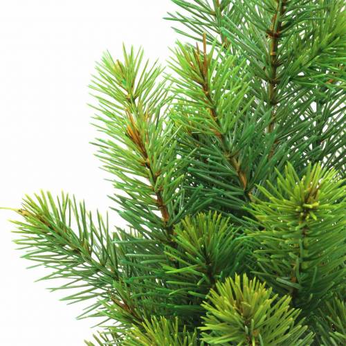 Floristik24 Ramas de abeto verde 43/54cm 6ud