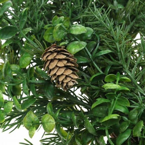 Floristik24 Corona decorativa con ramas de coníferas, piñas y boj verde 60cm