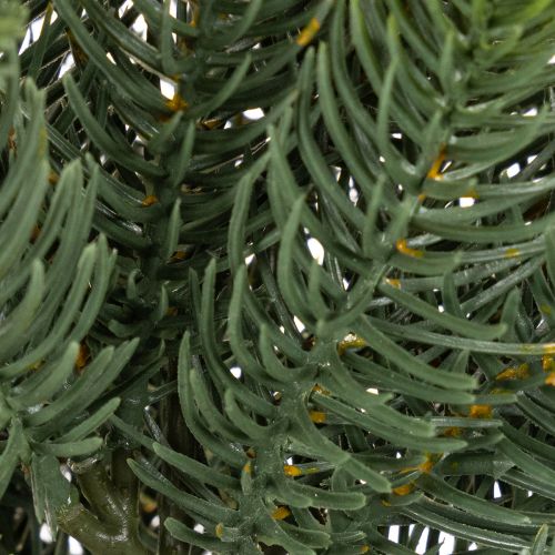 Rama de abeto artificial, decoración festiva para ventana, 50 cm, 3 piezas | Floristik24.es