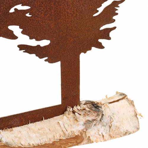 Floristik24 Pátina de silueta de abeto en tronco de abedul 41cm x 36cm
