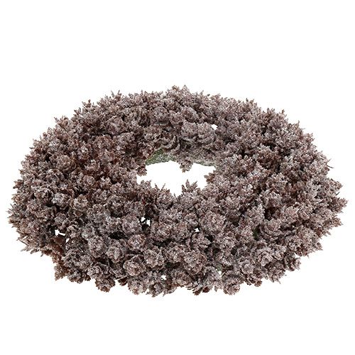 Floristik24 Corona de piña Ø25cm con purpurina
