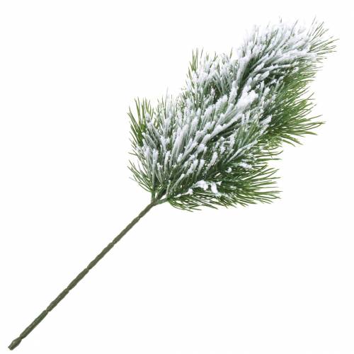 Floristik24 Rama de pino verde nevada 50cm