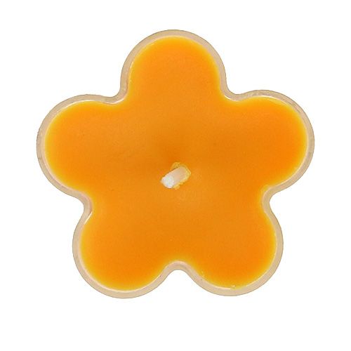 Floristik24 Candelita como una flor con aroma 4,5x2cm 6pcs
