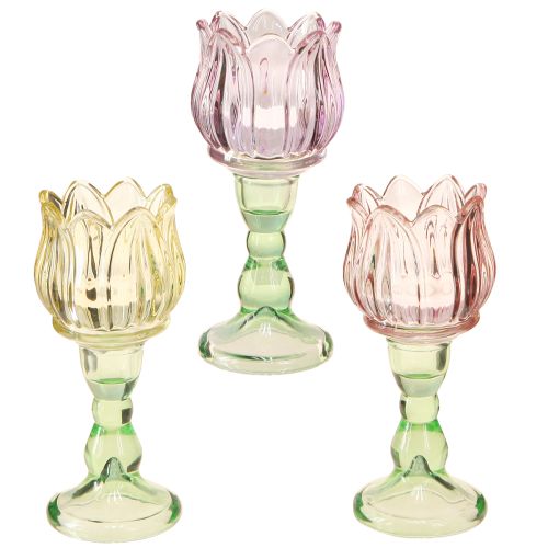 Floristik24 Portavelas de cristal flor portavelas vidrio 3 colores Ø7cm H16cm 3ud