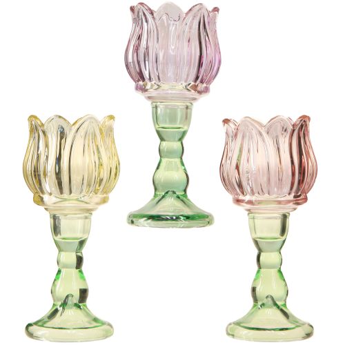 Floristik24 Portavelas de cristal flor portavelas vidrio 3 colores Ø7cm H16cm 3ud