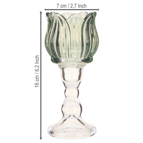 Artículo Portavelas de cristal tulipán verde Ø7cm H16cm 2uds