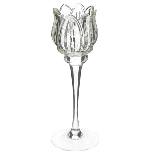 Floristik24 Portavelas de cristal con forma de flor para decoración elegante de mesas, eventos y bodas, 22cm