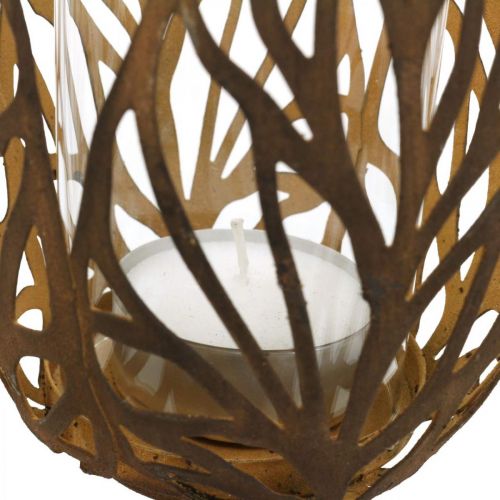 Floristik24 Linterna aspecto óxido, portavelas retro Ø13cm H30cm