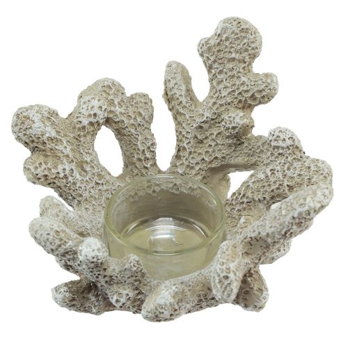 Portavelas decoración coral gris marítimo Ø12cm H8cm