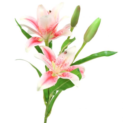 Floristik24 Tiger Lily Rosa, Blanco 60cm