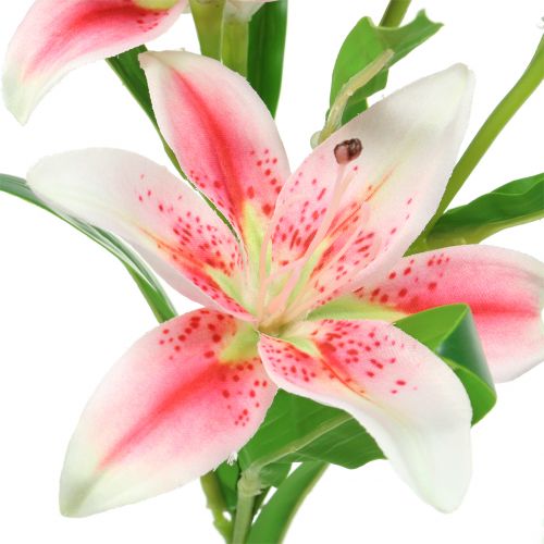 Floristik24 Tiger Lily Rosa, Blanco 60cm