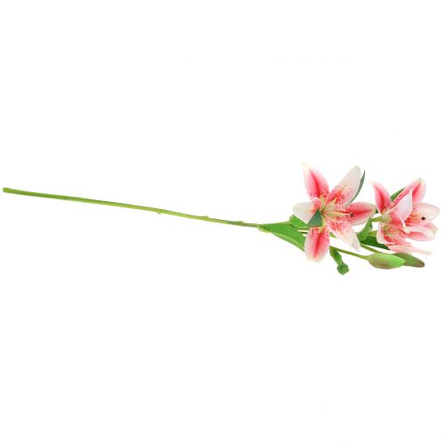Floristik24 Tiger Lily Rosa, Blanco 60cm