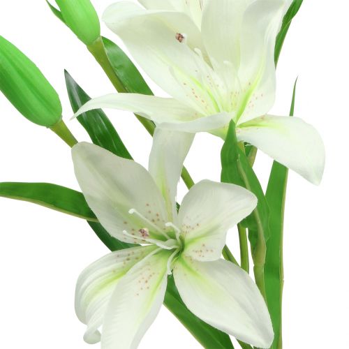 Floristik24 Lirio blanco 58cm