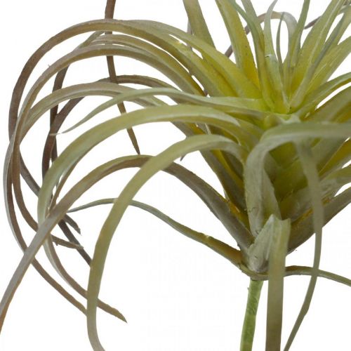 Floristik24 Tillandsia artificial para pegar planta artificial verde-morada 13cm