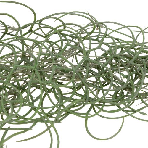 Floristik24 Tillandsia gris artificial 130cm