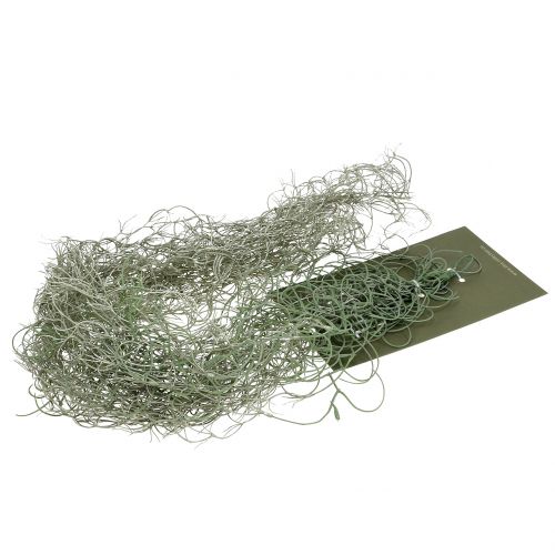 Floristik24 Tillandsia gris artificial 130cm