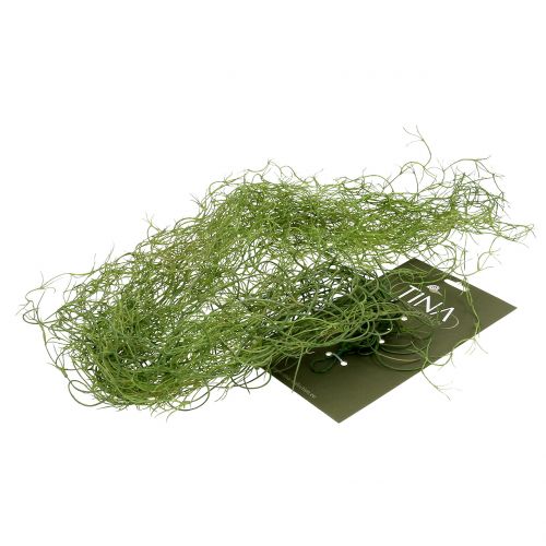 Floristik24 Tillandsia verde artificial 130cm