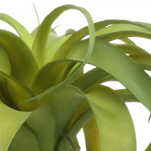 Floristik24 Tillandsia artificial para pegar planta artificial verde claro 30cm