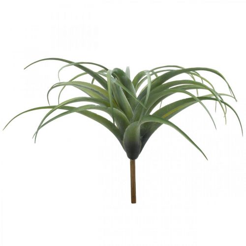 Floristik24 Deco Tillandsia artificial planta artificial para pegar verde Ø45cm