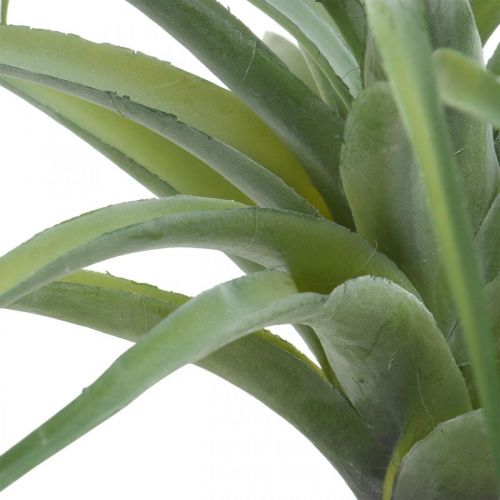 Artículo Deco Tillandsia artificial planta artificial para pegar verde Ø45cm